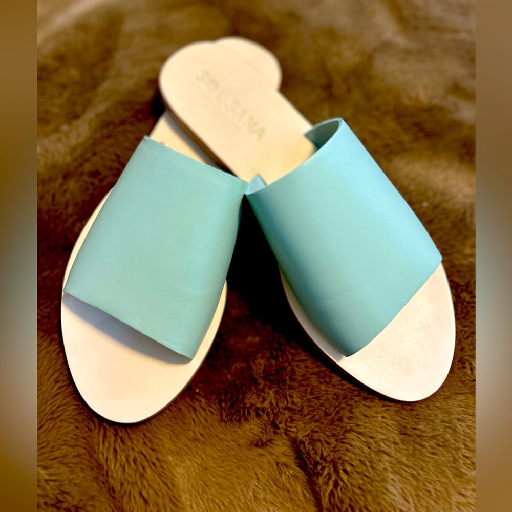Sol Sana Teresa Slides in Cucumber (Genuine Leather Slides)